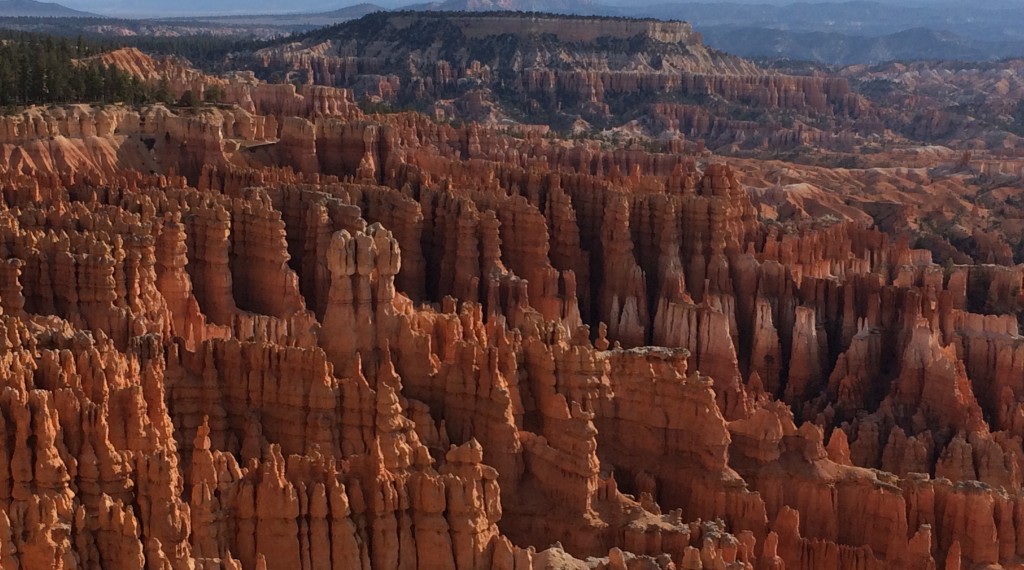 Hoodoos, the bulbous limestone spires, are formed over years of rain, snow, ice, wide temperature swings and erosion.