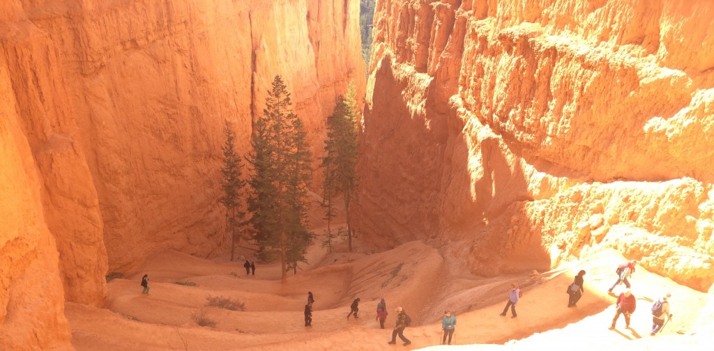 Bryce Canyon National Park - Remembering we must climb back up & out, this is a far as we go!