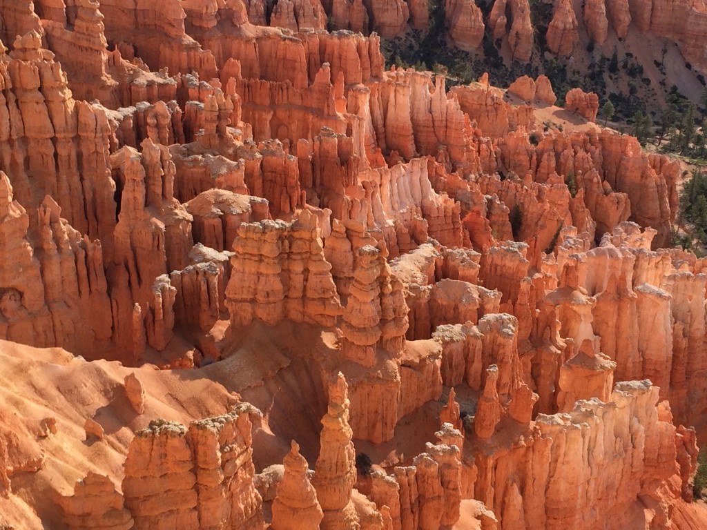 Bryce Canyon National Park - As the sun shifts, the lighting changes the appearance of the hoodoos.