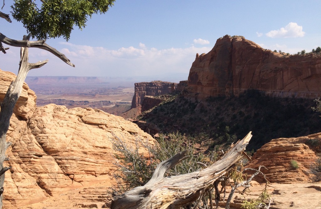 Canyonland National Park - View from "Island in the Sky".