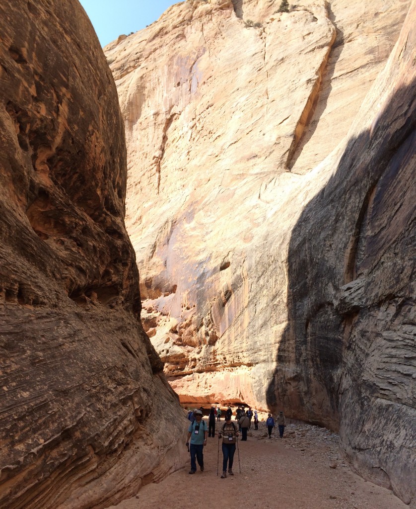 Capitol Reef National Park - Grand Wash. Many people opted for hiking poles to help them along the rocky trail.