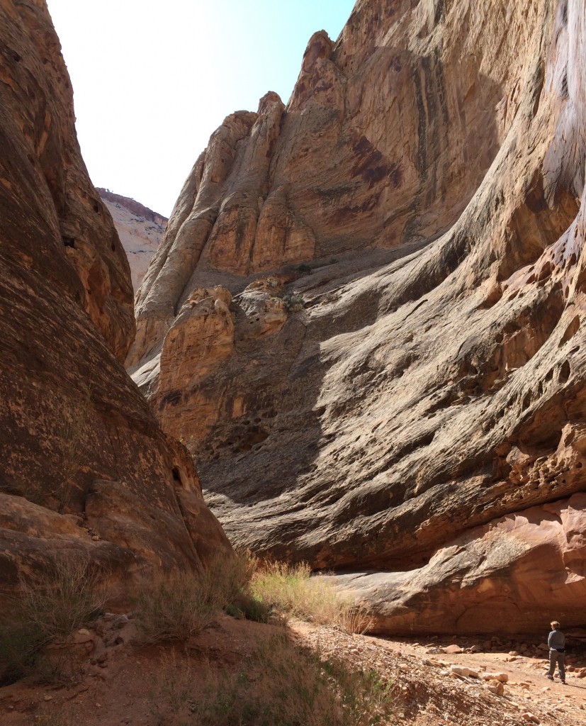 Capitol Reef National Park - About a mile hike along the Grand Wash, a canyon of deep and twisting, water-carved sheer walls.