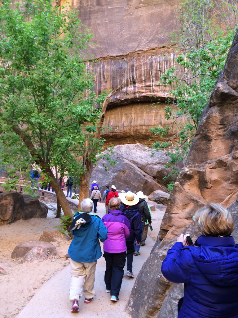 Our group walking the paved path alongside the Virgin River