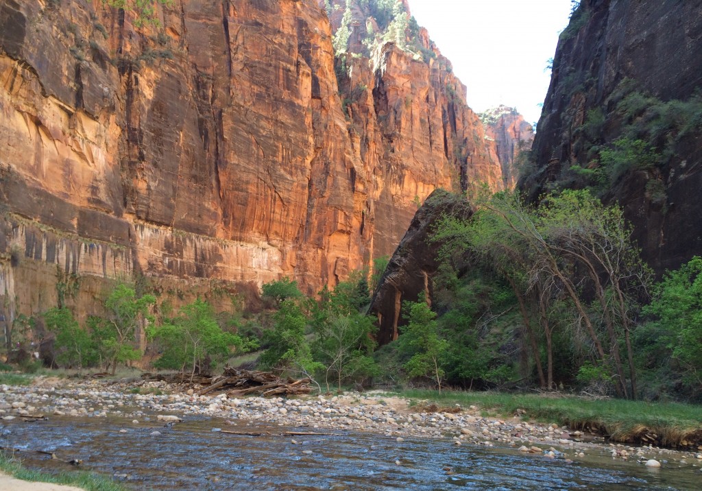 Zion National Park - A great example of the rock layers as they rise above the Virgin River