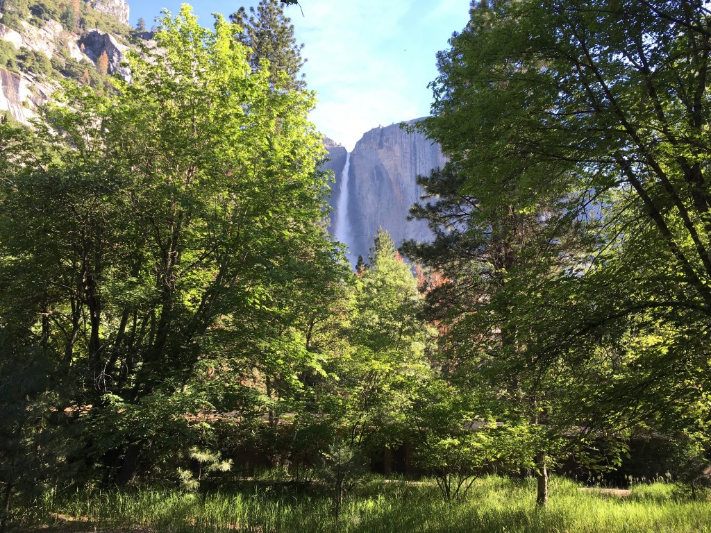 Yosemite Falls from Lodge Patio