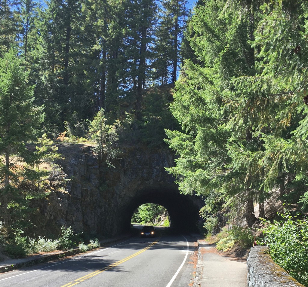 Tunnel at Box Canyon on Stevens Canyon Rd
